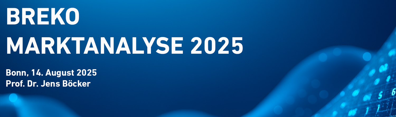breko marktanalyse 2025